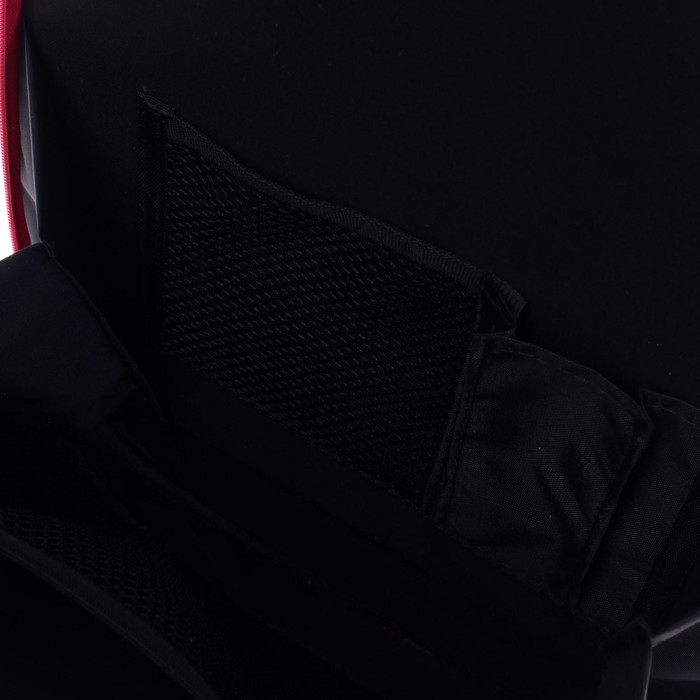 Рюкзак каркасный школьный 38 х 30 х 16 см, эргономичная спинка, Stavia "Фламинго мини", чёрный/синий/розовый