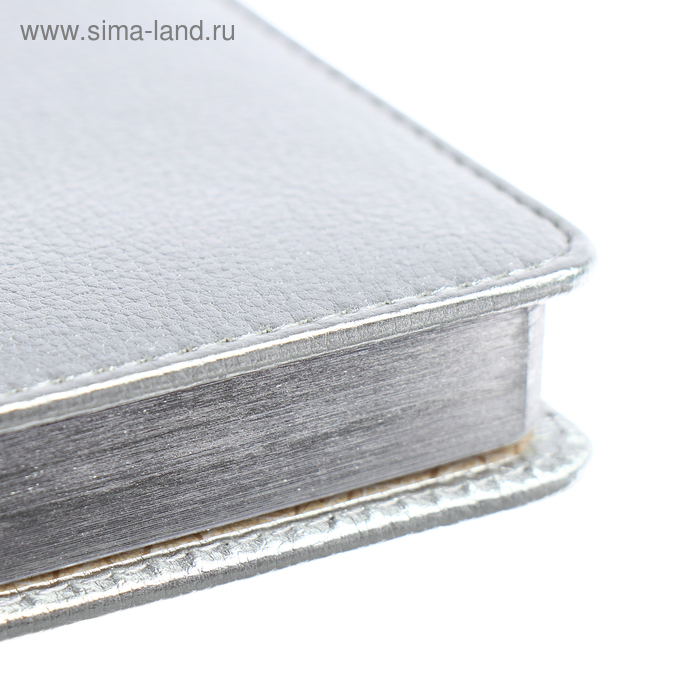 Ежедневник недатированный А5+, 136 листов Sidney Nebraska, обложка искусственная кожа, серебряный срез, ляссе, серебряный