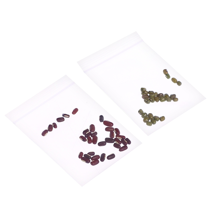 Набор для опытов &laquo;Экоферма&raquo;, своими руками