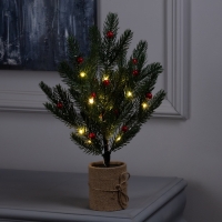 Светодиодный куст «Ель малая» 35 см, 30 LED, батарейки AAx3 (нет в комплекте), свечение тёплое белое Светодиодный куст «Ель малая» 35 см, 30 LED, батарейки AAx3 (нет в комплекте), свечение тёплое белое