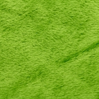 Мягкая игрушка &laquo;Попугай&raquo; с пледом, 40 см