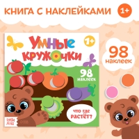 Книга с наклейками &laquo;Умные кружочки. Что, где растёт?&raquo;, 12 стр.