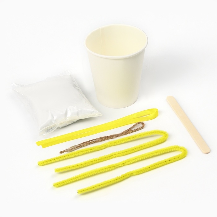 Набор для опытов Фиксики &laquo;Весёлые кристаллы&raquo;, Симка