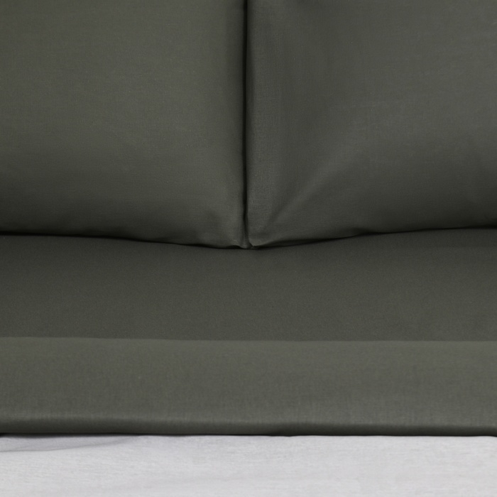 Постельное бельё Постельное бельё "Этель" 2 сп Snake and roses 175х215 см, 200х220 см, 50х70 см - 2 шт, бязь