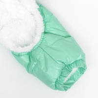 Комбинезон-штаны для собак, размер XS (ДС 26, ОТ 28 см), мятный Комбинезон-штаны для собак, размер XS (ДС 26, ОТ 28 см), мятный