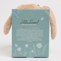 Мягкая игрушка Little Friend, заяйка в зеленом платье, 23 см Мягкая игрушка Little Friend, заяйка в зеленом платье, 23 см
