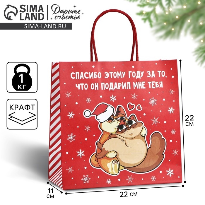 Пакет подарочный новогодний &laquo;Спасибо этому году&raquo;, 22 х 22 х 11 см