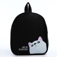 Рюкзак из искусственной кожи &laquo;What are you watching?&raquo; 27х23*10 см