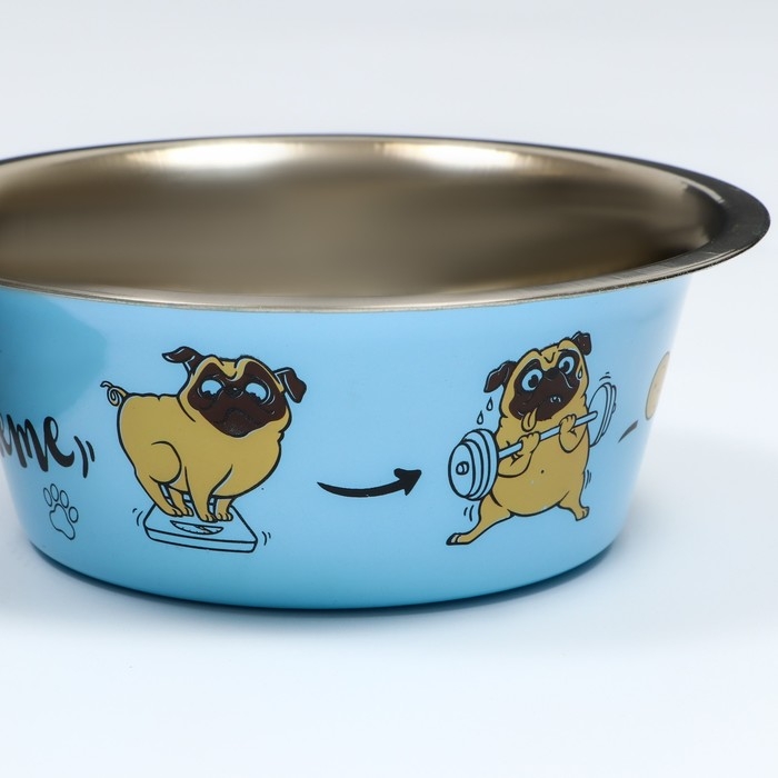 Миска стандартная Миска стандартная "Пижон. Коротко о диете", 450 мл