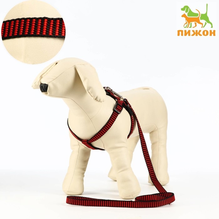 Комплект амуниции рельефный, 1,5 см, шлейка 36-49 см, поводок 120 см, красно-чёрный Комплект амуниции рельефный, 1,5 см, шлейка 36-49 см, поводок 120 см, красно-чёрный