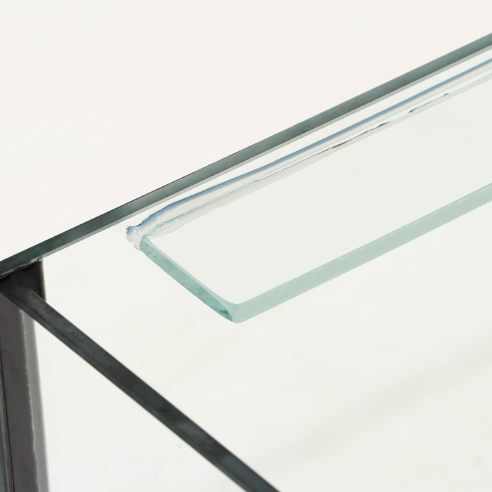 Аквариум Аквариум "Прямоугольный" без крышки, 220 литров, 100 х 40 х 55 см