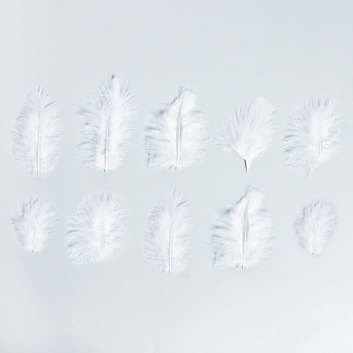 Набор перьев для декора 10 шт., размер 1 шт: 10 × 2 см, цвет белый Набор перьев для декора 10 шт., размер 1 шт: 10 × 2 см, цвет белый