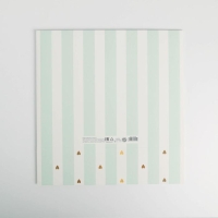 Коробка подарочная, упаковка, «Сюрприз», 31 х 24.5 х 8 см, БЕЗ ЛЕНТЫ Коробка подарочная, упаковка, «Сюрприз», 31 х 24.5 х 8 см, БЕЗ ЛЕНТЫ