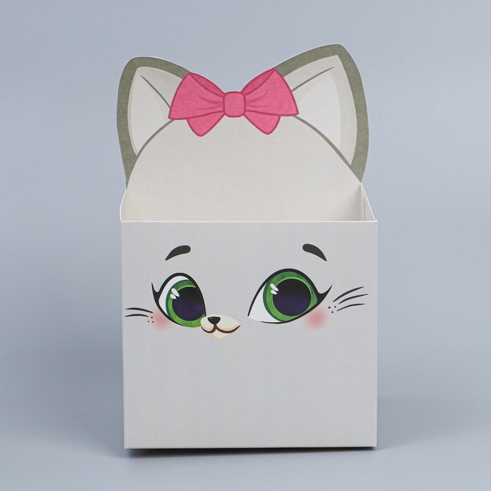 Коробки для мини букетов &laquo;Кисуля&raquo;, 12 &times; 20 &times; 10 см