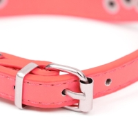 Ошейник-селедка со щенком, 29-32 х 2,5 см, искусственная кожа, красный Ошейник-селедка со щенком, 29-32 х 2,5 см, искусственная кожа, красный