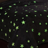 Плед светящийся Фри дом Звездный 100х150см, аэрософт 190г/м, пэ100% Плед светящийся Фри дом Звездный 100х150см, аэрософт 190г/м, пэ100%