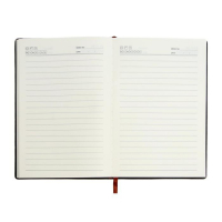 Ежедневник недатированный А5, 80 листов, линия, обложка ЛАЙТ пвх, МИКС Ежедневник недатированный А5, 80 листов, линия, обложка ЛАЙТ пвх, МИКС