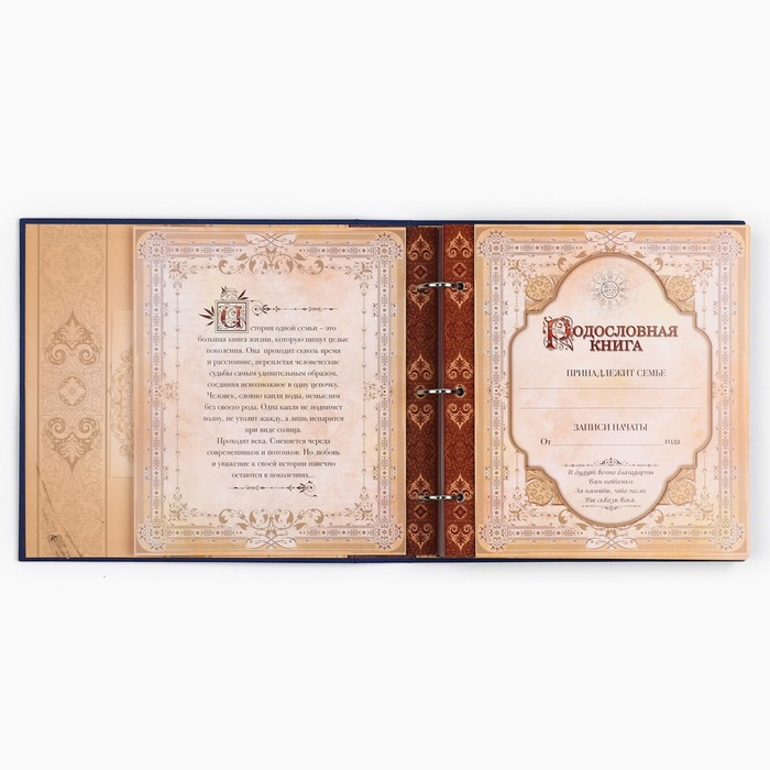 Родословная книга с рамкой под фото «Родословная книга», 50 листов, 21,5 х 23,7 см. Родословная книга с рамкой под фото «Родословная книга», 50 листов, 21,5 х 23,7 см.