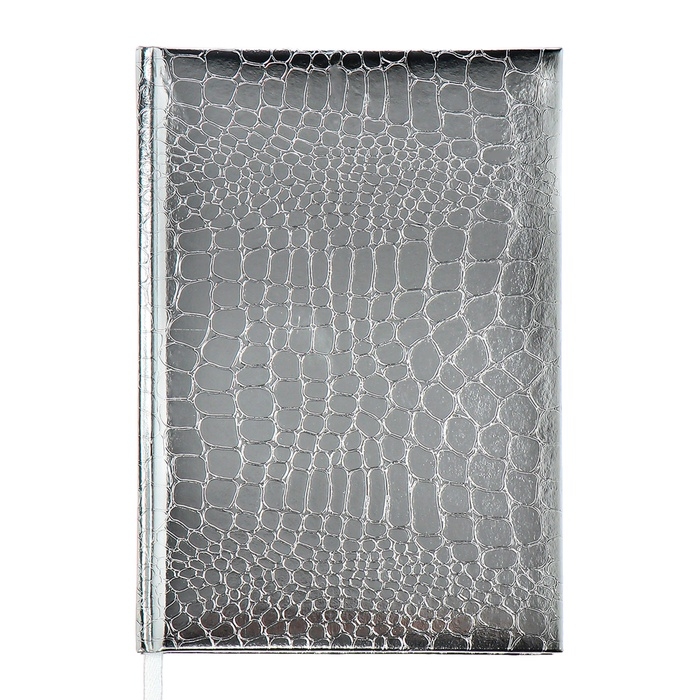 Ежедневник недатированный, A5, 136 листов, Attomex. Arkona, твердая обложка, бумвинил с поролоном, ляссе, блок 70%, серый