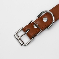 Ошейник "Лион" с шипами 45 х 2 см, ОШ 34-40 см, коричневый Ошейник "Лион" с шипами 45 х 2 см, ОШ 34-40 см, коричневый