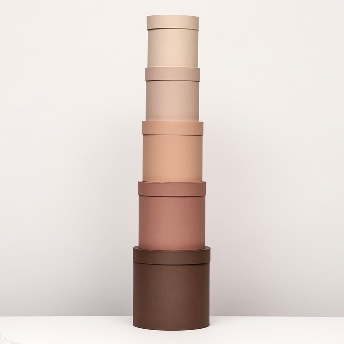 Набор шляпных коробок 5 в 1, коричневый, 23 х 23-15 х 15 см