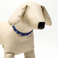 Ошейник с затупленными шипами 38 х 1,5 см, ОШ 26-33, морозостойкий материал PU, голубой Ошейник с затупленными шипами 38 х 1,5 см, ОШ 26-33, морозостойкий материал PU, голубой