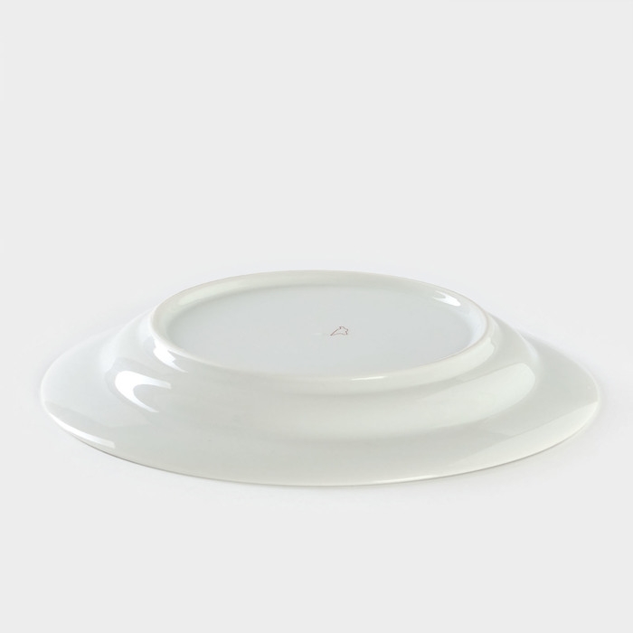 Тарелка фарфоровая &laquo;Маргаритки&raquo;, d=24 см