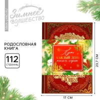 Родословная книга новогодним пояском &laquo;Новый год: Дед мороз&raquo;, 16,5 х 24 см.