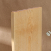 Доска разделочная Adelica, 50&times;20&times;2 см, покрыта маслом, цельная берёза