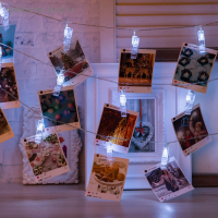 Гирлянда &laquo;Нить&raquo; 5 м с насадками &laquo;Прищепки&raquo;, IP20, прозрачная нить, 30 LED, свечение белое, 8 режимов, 220 В