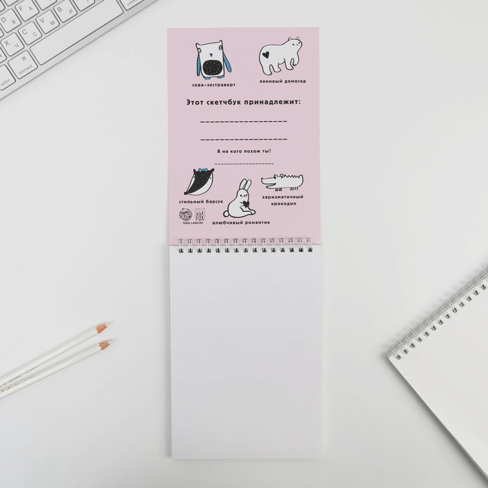 Скетчбук А5 &laquo;Рисуй&raquo; 40 л, 100 г/м