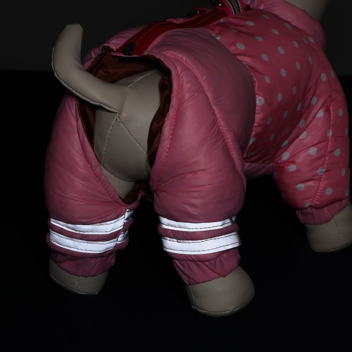 Комбинезон для собак "Горошек", размер 18 (ДС 31, ОГ 46, ОШ 38 см), розовый