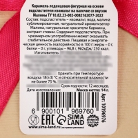 Леденец с сублиматами в форме диска "Цвети" 14гр