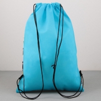 Мешок для обуви &laquo;1 сентября: GO!&raquo; нетканное полотно, размер 30 х 40 см