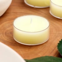 Набор свечей в гильзе "Круг", белая, 12 шт Набор свечей в гильзе "Круг", белая, 12 шт