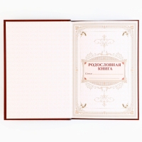 Родословная книга новогодним пояском &laquo;Новый год: Дед мороз&raquo;, 16,5 х 24 см.