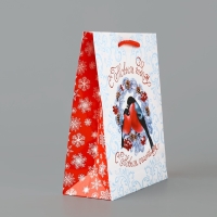 Пакет подарочный новогодний ламинированный &laquo;С Новым годом&raquo;, снегири, MS 18 х 23 х 8 см, Новый год