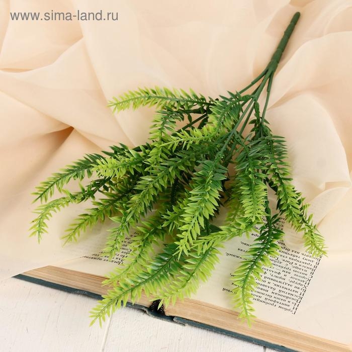 Букет Букет "Пышный папоротник" 35 см