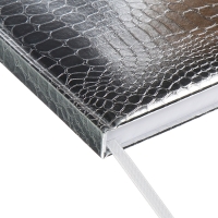 Ежедневник датированный 2025 A5 168 листов, Attomex. Arkona, твердая обложка, бумвинил с поролоном, ляссе,блок 70, серый Ежедневник датированный 2025 A5 168 листов, Attomex. Arkona, твердая обложка, бумвинил с поролоном, ляссе,блок 70, серый