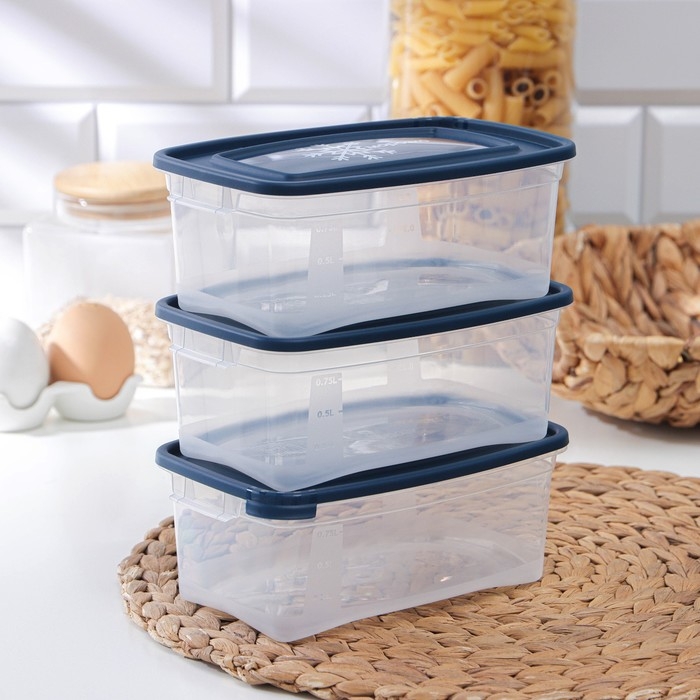 Набор прямоугольных контейнеров для замораживания продуктов &laquo;Морозко&raquo;, 1 л , 3 шт, прозрачные, крышки микс