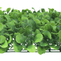 Декоративная панель, 60 &times; 40 см, &laquo;Мокрица&raquo;, Greengo