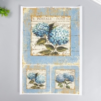 Набор декупажных карт 6 шт «Лаванда и гортензии» А4, 45 г/м2 Набор декупажных карт 6 шт «Лаванда и гортензии» А4, 45 г/м2