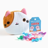 Леденцы &laquo;Той, у кого лапки&raquo; в кошельке, со вкусом персика, 40 г.