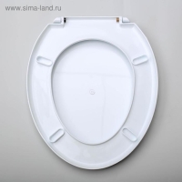 Сиденье для унитаза «Декор. Капли», 44,5×37,5 см, с крышкой, белое Сиденье для унитаза «Декор. Капли», 44,5×37,5 см, с крышкой, белое