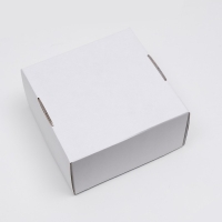 Коробка самосборная, крафт, белая, 23 х 23 х 12 см Коробка самосборная, крафт, белая, 23 х 23 х 12 см