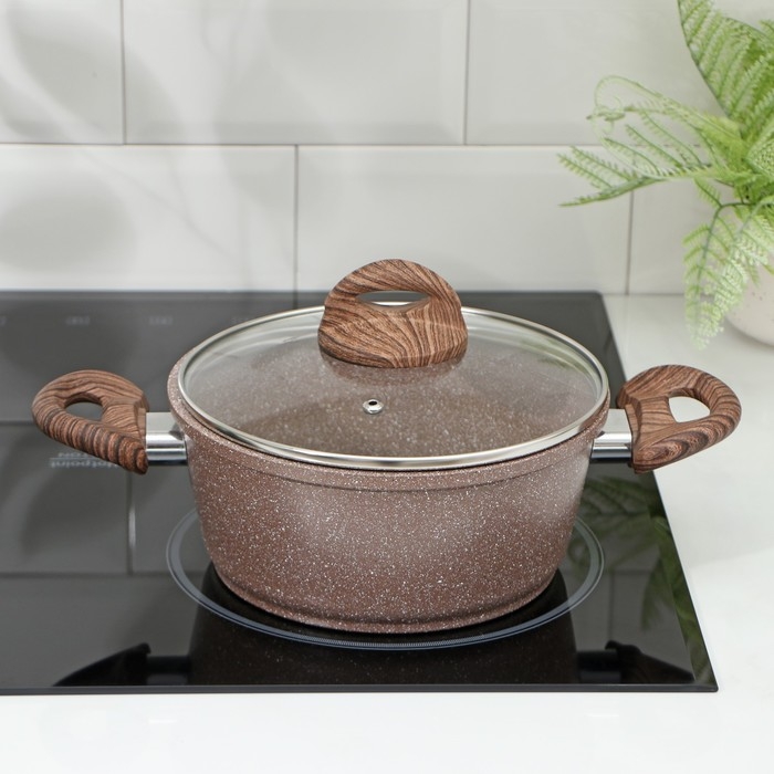 Кастрюля Доляна «Брауни», 2 л, d=20 см, h=9 см, стеклянная крышка, антипригарное покрытие, индукция Кастрюля Доляна «Брауни», 2 л, d=20 см, h=9 см, стеклянная крышка, антипригарное покрытие, индукция