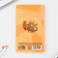 Книжка стикеров &laquo;Друг!&raquo;, 5 блоков, 30 листов