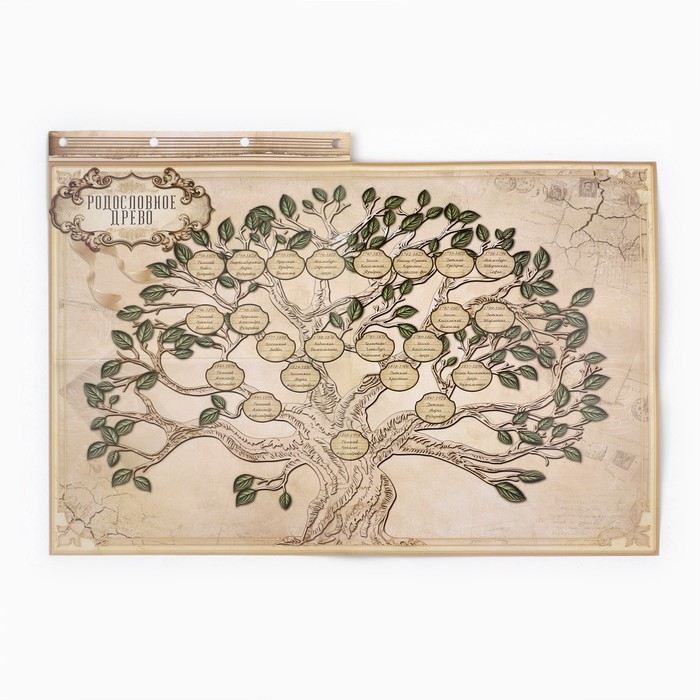 Родословная книга «Наш род», 56 листов, бордо, 35 х 23,5 см Родословная книга «Наш род», 56 листов, бордо, 35 х 23,5 см