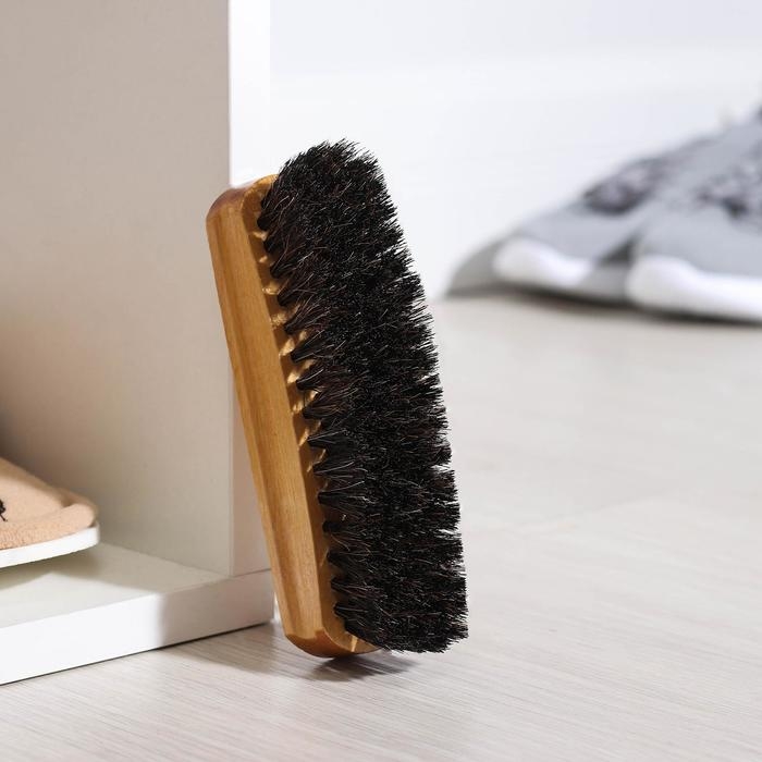 Щётка для обуви Тарри, 14×4 см, конский волос Щётка для обуви Тарри, 14×4 см, конский волос