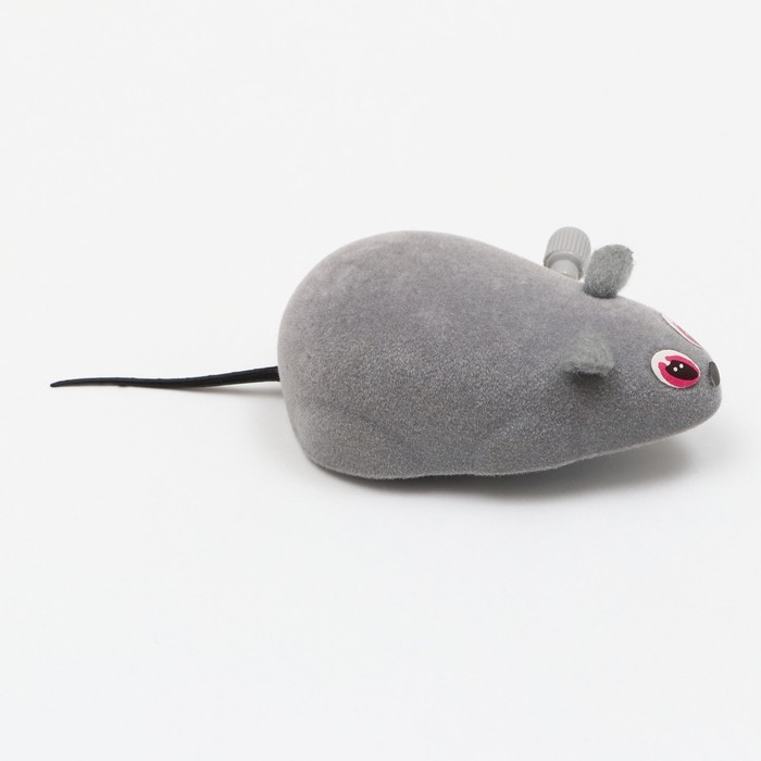 Мышь заводная, 7 см, фасовка 25 шт, микс цветов Мышь заводная, 7 см, фасовка 25 шт, микс цветов